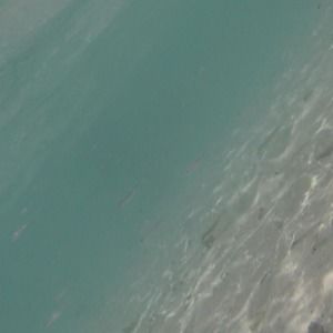 Meet your Posher, Claire